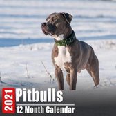 Calendar 2021 Pitbulls