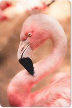 Muismat Flamingo  - Portret van een roze flamingo muismat rubber - 18x27 cm - Muismat met foto