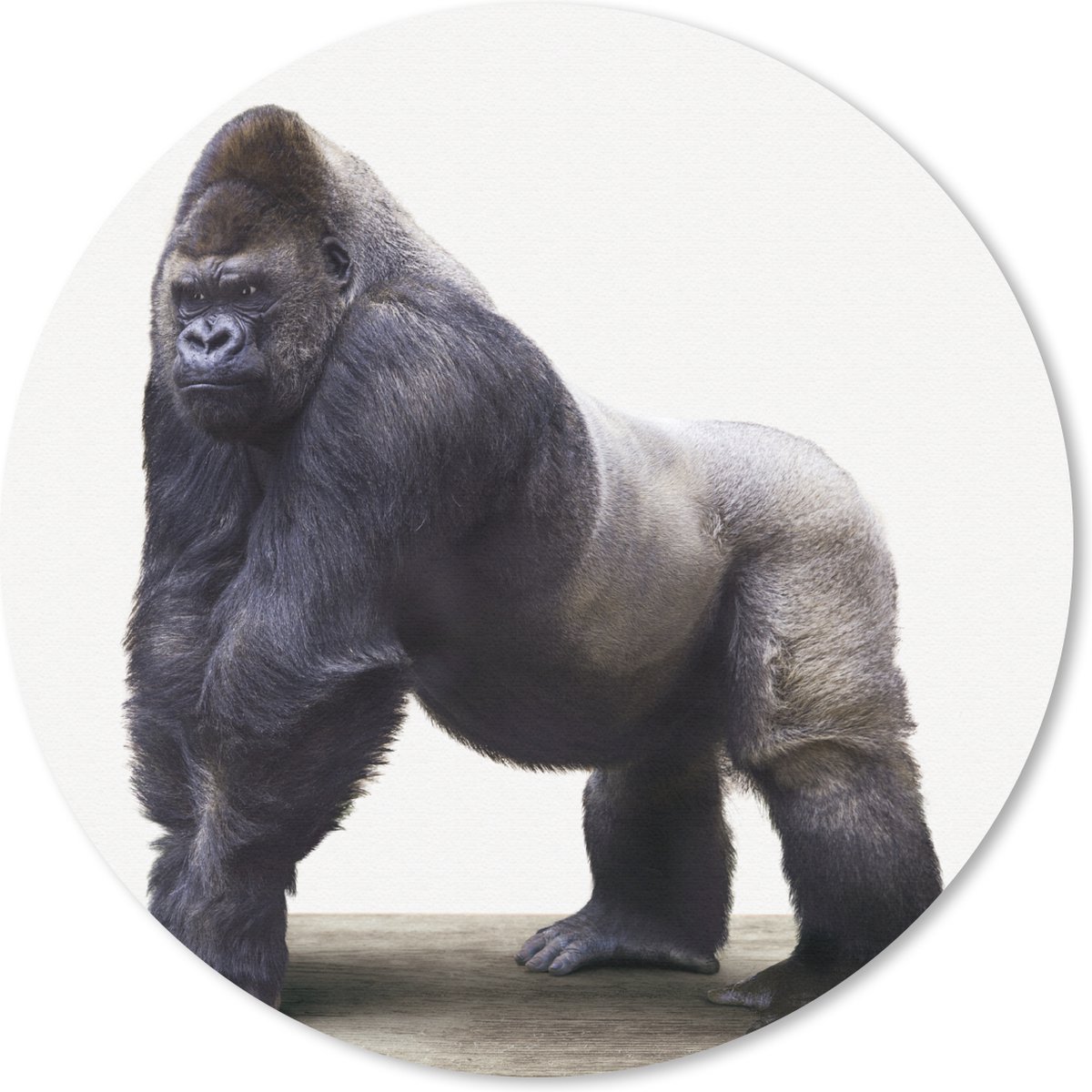 Muismat Animalprintshop - Gorilla dierenprint Muismat rond - 20x20 cm - Muismat met foto
