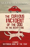 Curious Incident Dog Of Night time