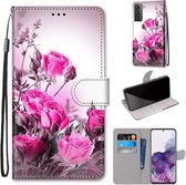 Voor Samsung Galaxy S21 + 5G Gekleurde Tekening Cross Textuur Horizontale Flip PU Lederen Case met Houder & Kaartsleuven & Portemonnee & Lanyard (Wild Rose)