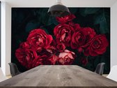 Professioneel Fotobehang boeket rode rozen - rood - Sticky Decoration - fotobehang - decoratie - woonaccesoires - inclusief gratis hobbymesje - 415 cm breed x 280 cm hoog - in 7 verschillende