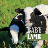 Baby Lamb Calendar 2021