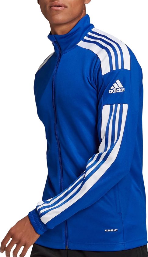 Veste de sport adidas Squadra 21 Training Jacket - Taille M - Homme -  Bleu/Blanc | bol.com