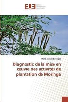 Diagnostic de la mise en oeuvre des activités de plantation de Moringa