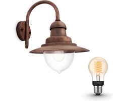 Philips Hue Raindrop Wandlamp voor Buiten (Koper) - Buitenlamp - E27 - Warmwit Licht - Hue White Filament