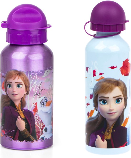 Gourde pour enfants Disney Frozen La Reine des Neiges, 500 ml, fermeture de  sécurité,... | bol.