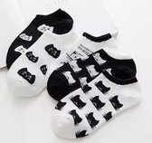 Set van 5 paar kattensokken - Zwart-Wit - Enkelsokken Kat - Unisex - Multipack - Maat 36-41