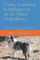 Cómo Aumentar la Inteligencia de Un Pastor Australiano