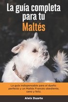 La Guía Completa Para Tu Maltés