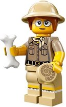 LEGO Minifigures Serie 13 - Paleontologist 6/16 - 71008