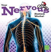Your Body Systems - Your Nervous System Works!