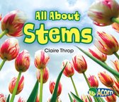 All About Plants - All About Stems