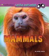 Little Zoologist - Mammals