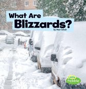 Wicked Weather -  What Are Blizzards?