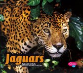 Wildcats - Jaguars