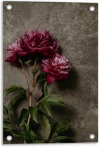 Tuinposter – Paarse Bloemen - 40x60cm Foto op Tuinposter  (wanddecoratie voor buiten en binnen)