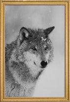 JUNIQE - Poster met houten lijst The Wolf -30x45 /Grijs