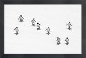 JUNIQE - Poster in houten lijst Snow Penguins -30x45 /Wit & Zwart