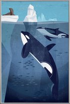 JUNIQE - Poster met kunststof lijst Vintage orka -20x30 /Blauw