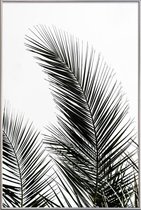 JUNIQE - Poster met kunststof lijst Palm Leaves 1 -13x18 /Kleurrijk