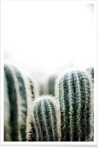 JUNIQE - Poster Cactus 1 -20x30 /Groen & Wit