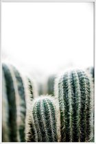 JUNIQE - Poster met kunststof lijst Cactus 1 -13x18 /Groen & Wit