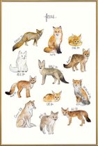 JUNIQE - Poster met kunststof lijst Vossen illustratie -30x45 /Bruin &