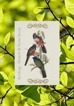 Birding: Sketch & Note Book: 7x10 Creative Dual Writing & Sketchbook for Birding, Birdwatching, Bird Nerds