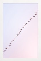 JUNIQE - Poster in houten lijst Follow My Lead @Vasarely -20x30 /Roze