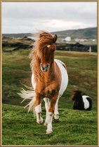 JUNIQE - Poster met kunststof lijst Shetland Ponies -20x30 /Bruin &