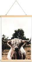 JUNIQE - Posterhanger Boris Highland Cow -20x30 /Bruin & Groen