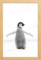 JUNIQE - Poster in houten lijst Lone Penguin -20x30 /Grijs & Wit
