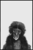 JUNIQE - Poster in kunststof lijst Bonobo Classic -20x30 /Wit & Zwart