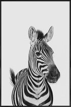 JUNIQE - Poster met kunststof lijst Zebra Classic -13x18 /Wit & Zwart