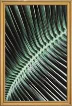 JUNIQE - Poster met houten lijst Curved Palm -20x30 /Groen