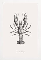 JUNIQE - Poster met houten lijst American Lobster -13x18 /Grijs &