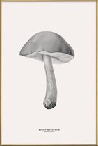 JUNIQE - Poster met kunststof lijst Bolete Mushroom -30x45 /Grijs &