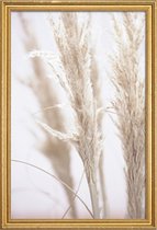 JUNIQE - Poster met houten lijst Pampas Reed 01 -13x18 /Ivoor & Wit