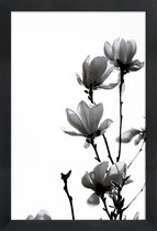 JUNIQE - Poster met houten lijst Aquarel zwarte magnolia -13x18 /Wit &