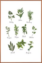 JUNIQE - Poster met kunststof lijst Herbs Collection -30x45 /Groen &