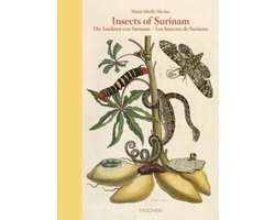 Insects of Surinam, Katharina Schmidt-Loske | 9783822852781