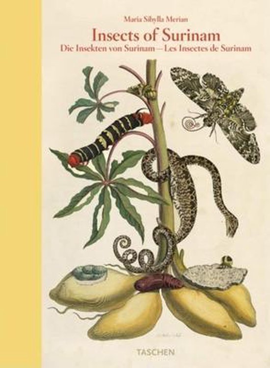 ▲01)【同梱不可】Insects of Surinam/Die Insekten Surinams/スリナムの昆虫/洋書/デザイン/Taschen/A △01)【同梱不可】Insects of Surinam/Die Insekten Surinams