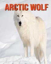 Arctic wolf