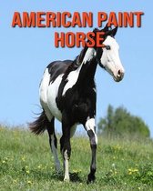 American Paint Horse