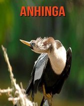 Anhinga