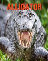 Alligator