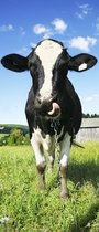 Koe In Weiland deurposter 92x202 cm