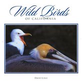 Wild Birds of California