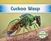 Incredible Insects- Cuckoo Wasp